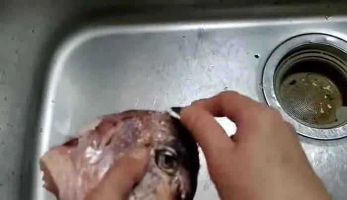 Cut and prepare sea bream. (Specific instructions regarding cuts are unclear in the transcript but are implied.)