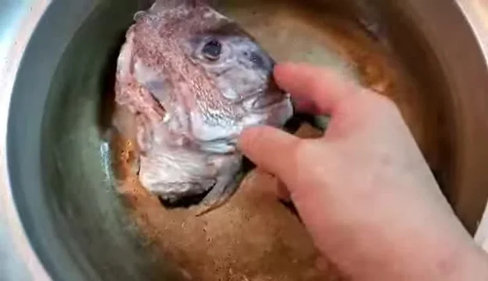 Add the prepared sea bream to the pot. (Avoid adding tofu early to prevent it from falling apart)