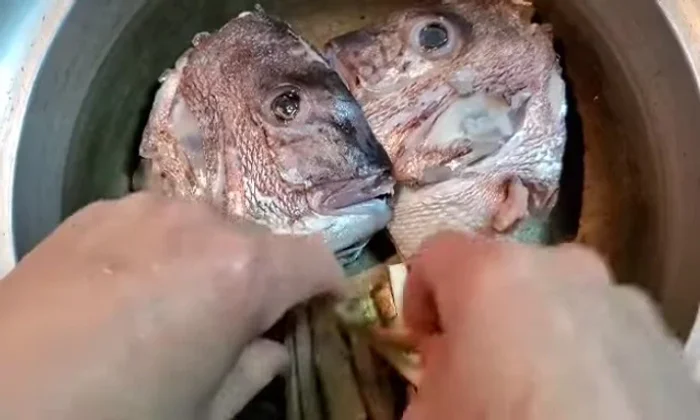Lightly wash the sea bream to remove bitterness.