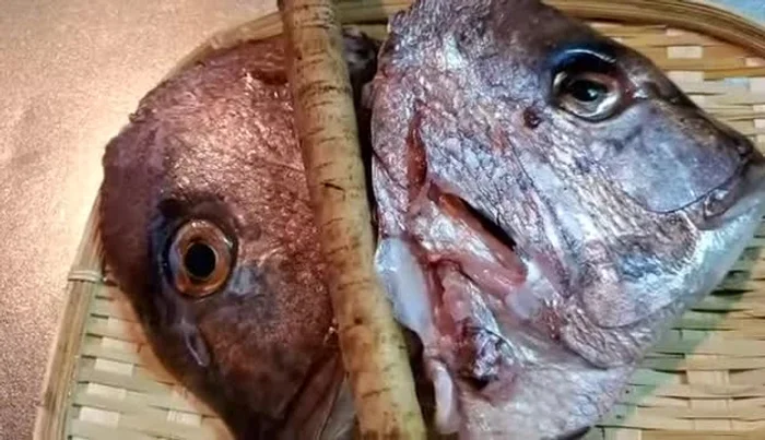 Prepare the sea bream scales. Carefully remove scales, ensuring none remain. This is crucial for the dish's success.