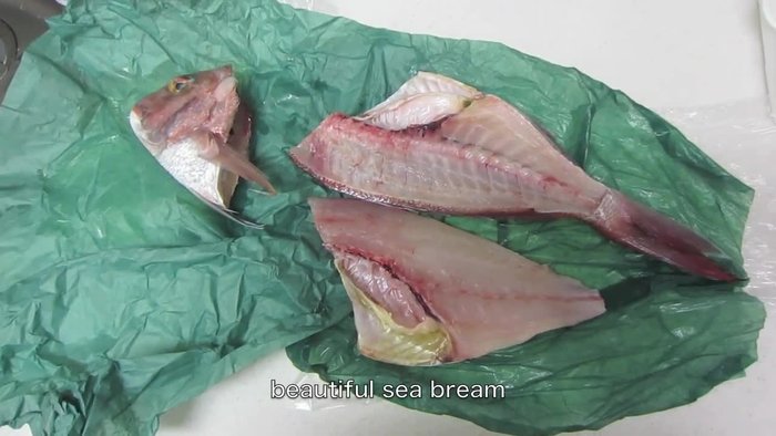 Prepare the sea bream. Cut it into pieces suitable for cooking in the rice cooker and grilling. Consider cutting it in half to manage bones more easily. (76.88)