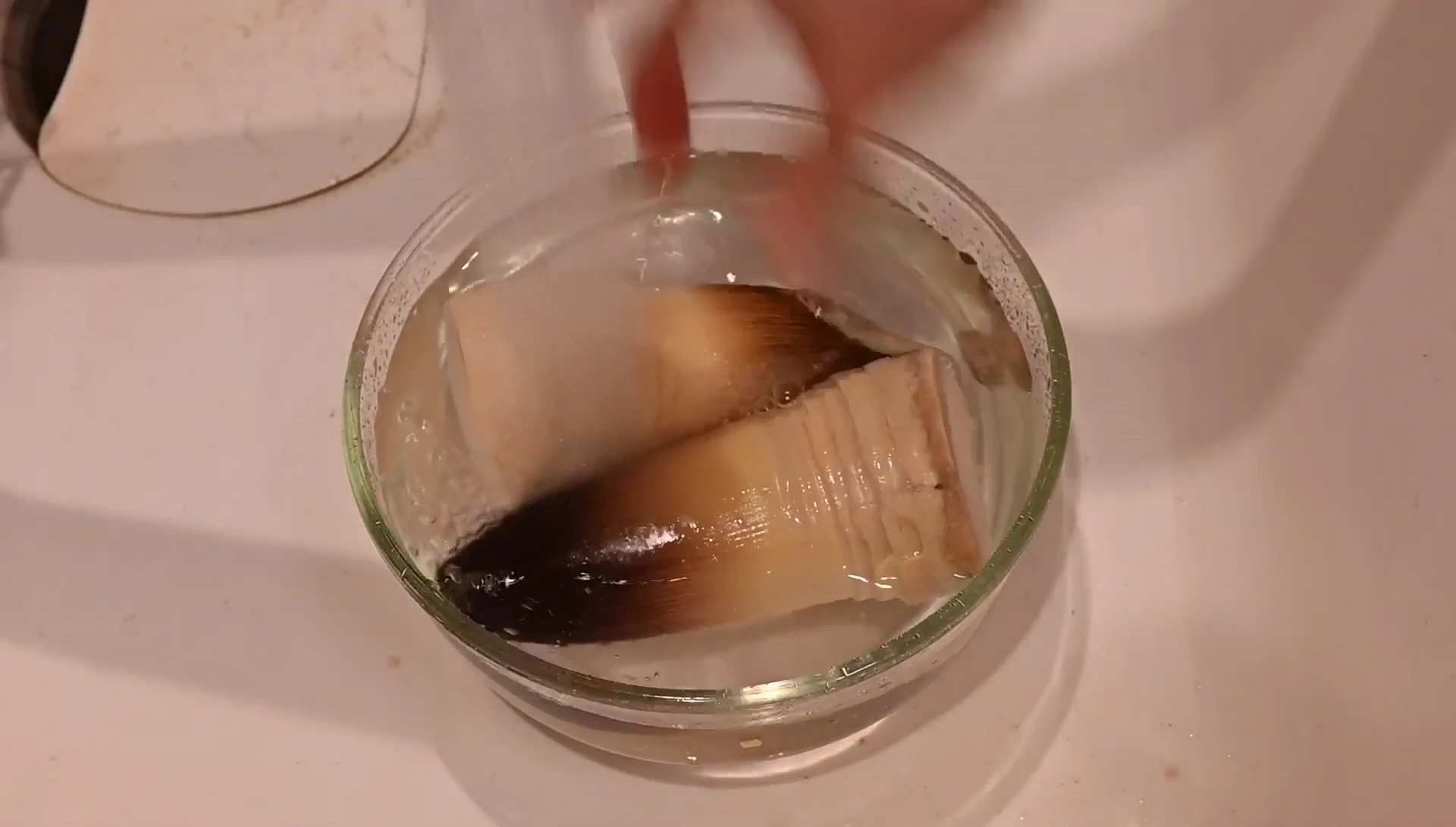 How to Cook Fresh Bamboo Shoots: A Seasonal Japanese Delicacy