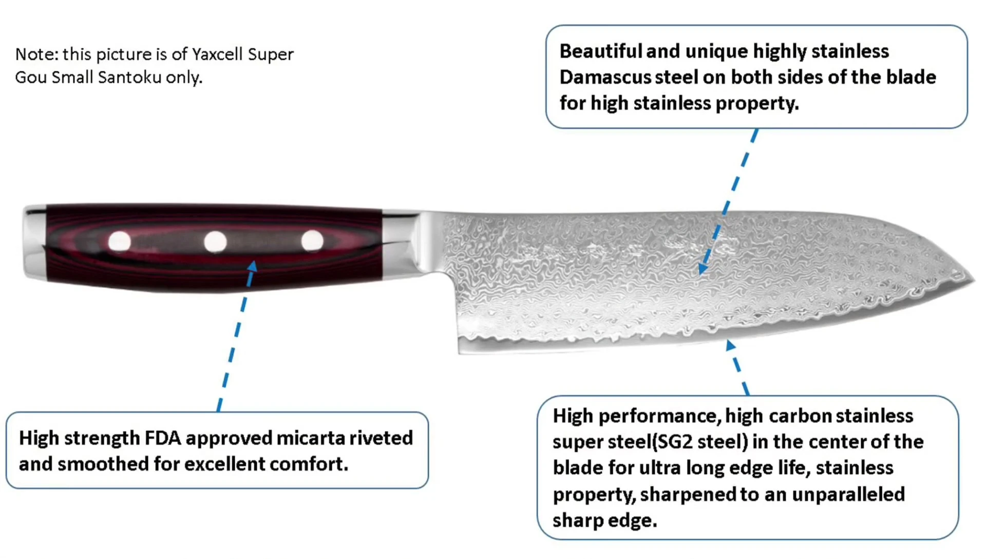 Detailed view highlighting the SG2 high-carbon stainless steel core.