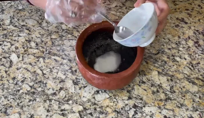 Apply paste to pots: Wet the clay pots and generously apply the baking soda paste inside and outside. (154.239)