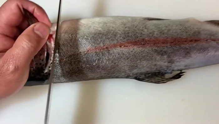 MAC knife filleting a fish