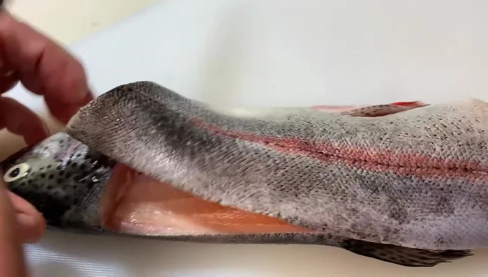 Filleting a fish with a sharp knife