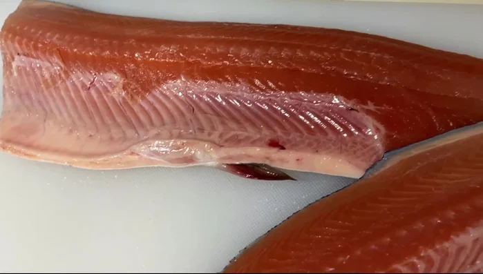 Fillet of salmon, expertly sliced.
