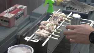 Thaan Charcoal & Yak Grills Hibachi Grill Review: A Yakitori Master's Guide