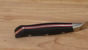 Miyabi Evolution Knives Review: A German-Japanese Hybrid Chef's Knife?