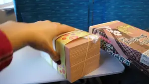 Shinkansen Bento Box Review: A Delicious Japanese Train Journey