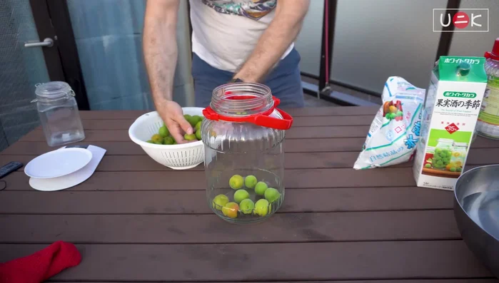 Layer plums and sugar (or honey) in the jar. Mix evenly to avoid thick layers of either ingredient.