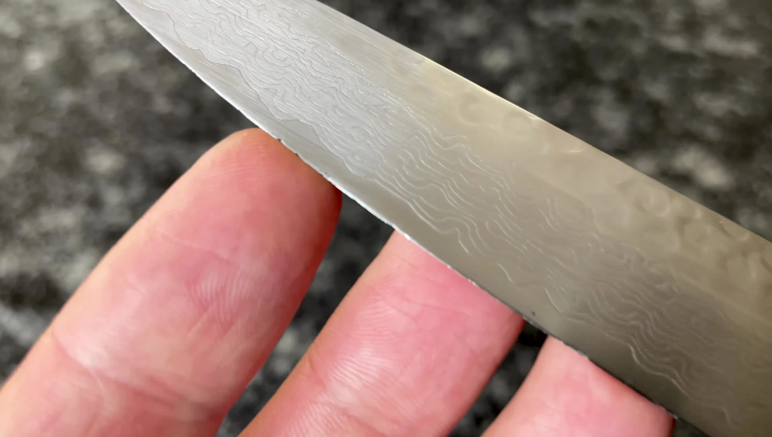 Image highlighting the sturdiness of a German knife blade.