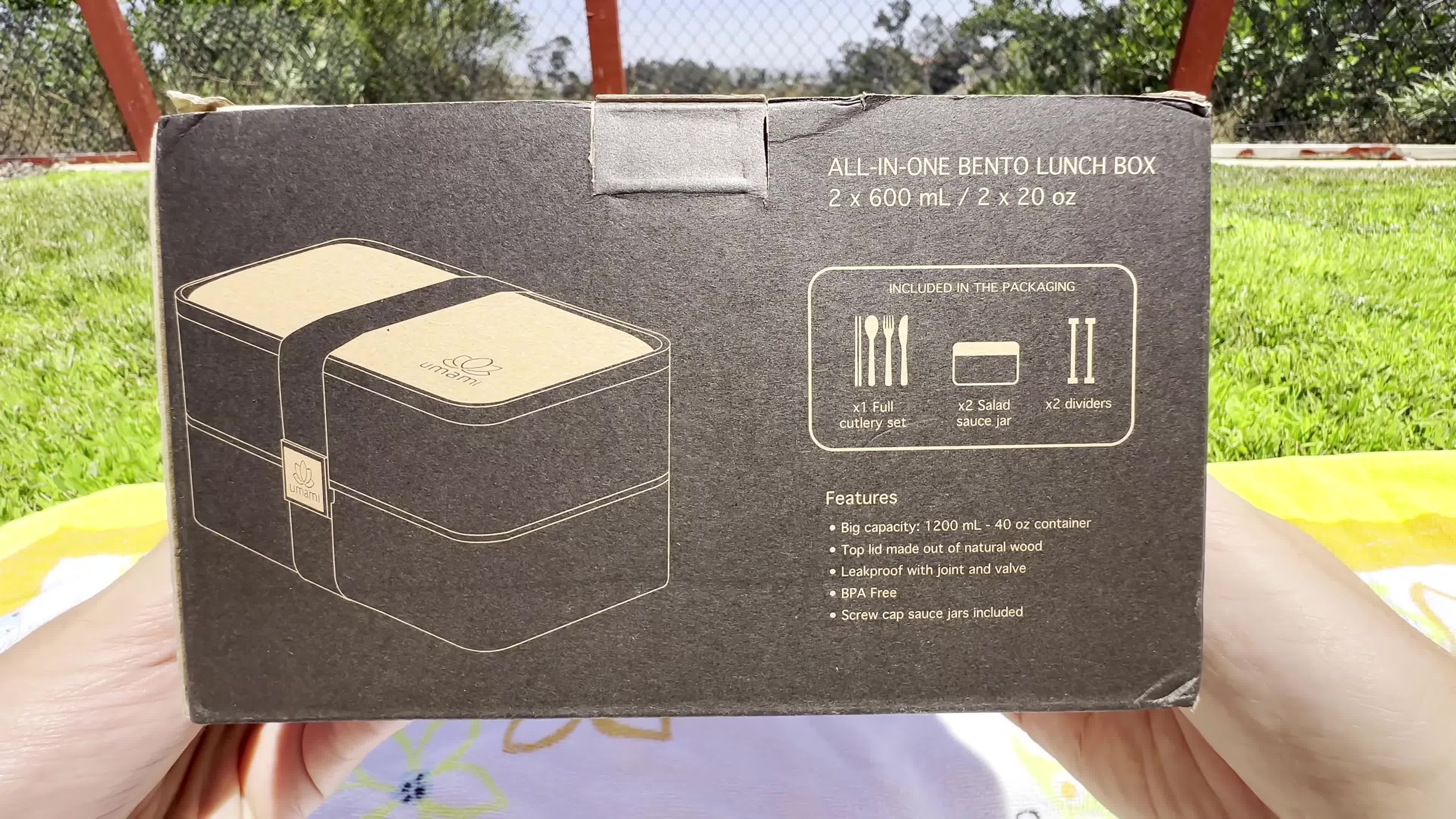 Close-up of the Umami Bento box showing its size and color.