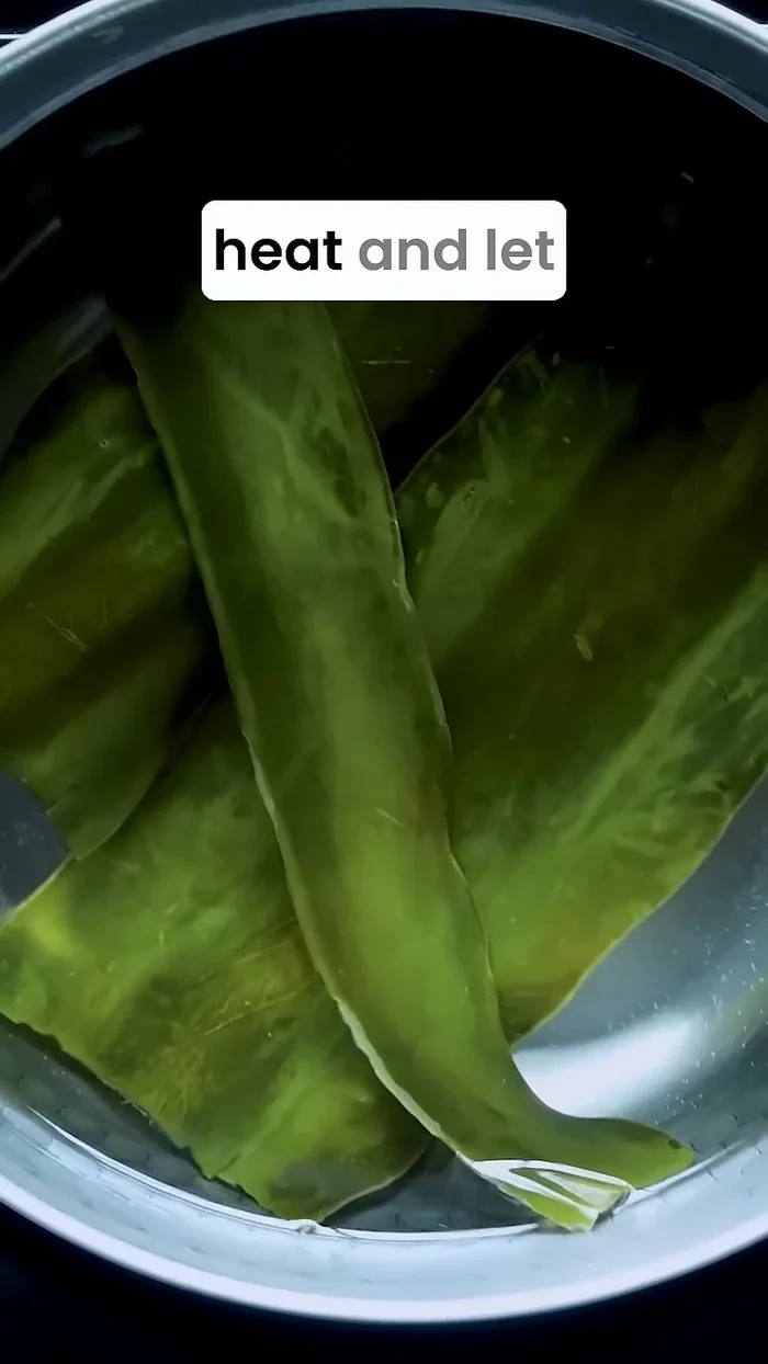 Heat the pot over medium-low heat, warming the kombu and water gradually. Remove the kombu once you see tiny bubbles around the edges.