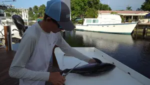 Slow Pitch Jigging: A Beginner's Guide to Tuna Fishing