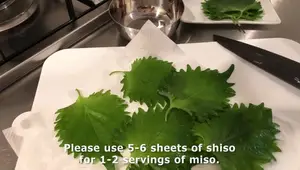 4 Easy Shiso (Japanese Basil) Recipes: Spring Rolls, Pasta, Salad & Miso