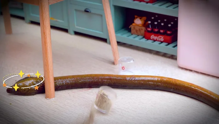 Prepare the eel: slice and season with salt, turmeric powder, pepper, garlic, onion, and chili.