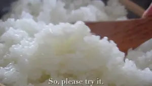 Juicy Japanese Hamburger Steak Recipe - Easy Homemade Dish