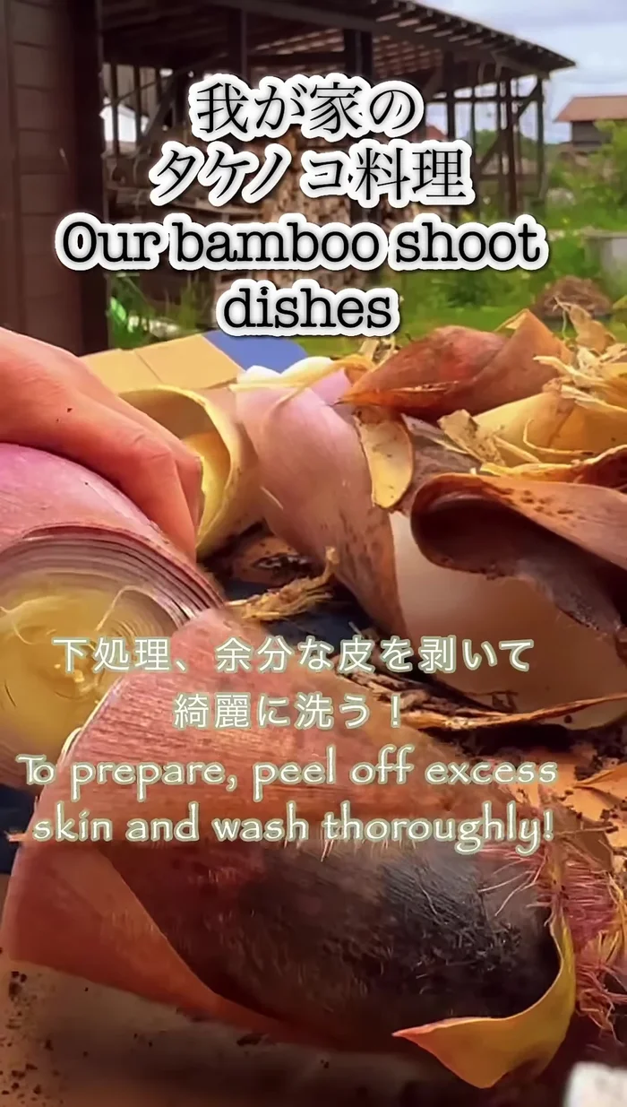 Place bamboo shoots in a pot of water and bring to a boil. Add one bran and one hair of a bamboo shoot (This step is unclear and might be symbolic or a cultural practice).