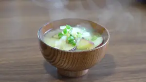 Healthy Japanese Tofu Hamburg Steak Recipe