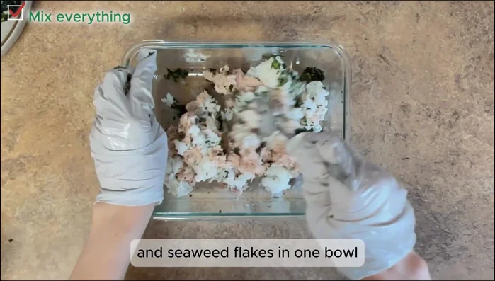 Option 3 (Mixed): Combine rice, tuna mayo, and seaweed flakes in a bowl. Shape into bite-sized pieces.