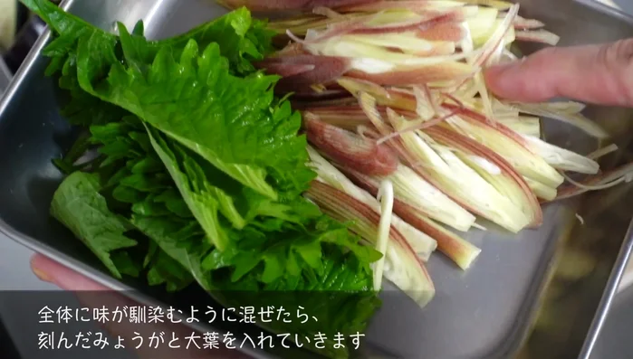 Mix chopped eggplant and other ingredients with water.