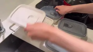 Easy Microwave Weekly Meal Prep: Japanese-Style Recipes