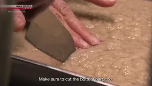 Sesame Tofu (Goma-dofu): A Vegan Shojin Ryori Recipe