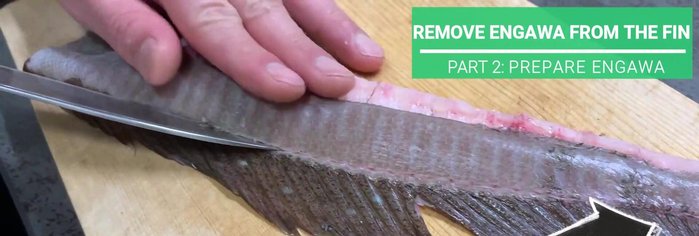 Deal with the engawa (fin). Make a slit from the edge of the fin, run your knife through a couple of times to feel the bone, and do the same for the other side. Peel off the skin on the back, slicing off the white part where there's no meat.