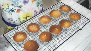 Fluffy Lemon Madeleines: Easy Recipe for Delicious Treats
