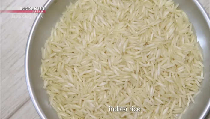 Combine the rinsed rice and water in a rice cooker or pot. Add salt. Cook according to the rice cooker instructions or cook in a pot on medium heat until the water is absorbed and the rice is cooked through.