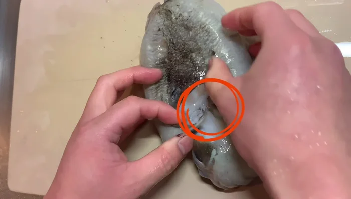 Separate the squid body and legs. Tear off the thin part connecting them and rip the body open.