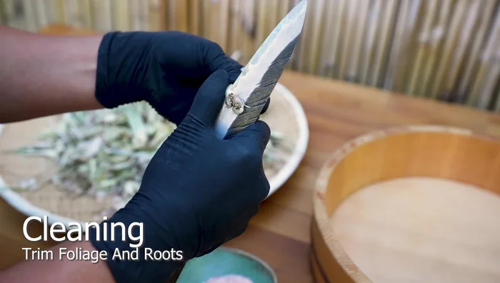 Trim green foliage and roots right before they meet the bulb to prevent drying. Retain small amounts of green for flavor.
