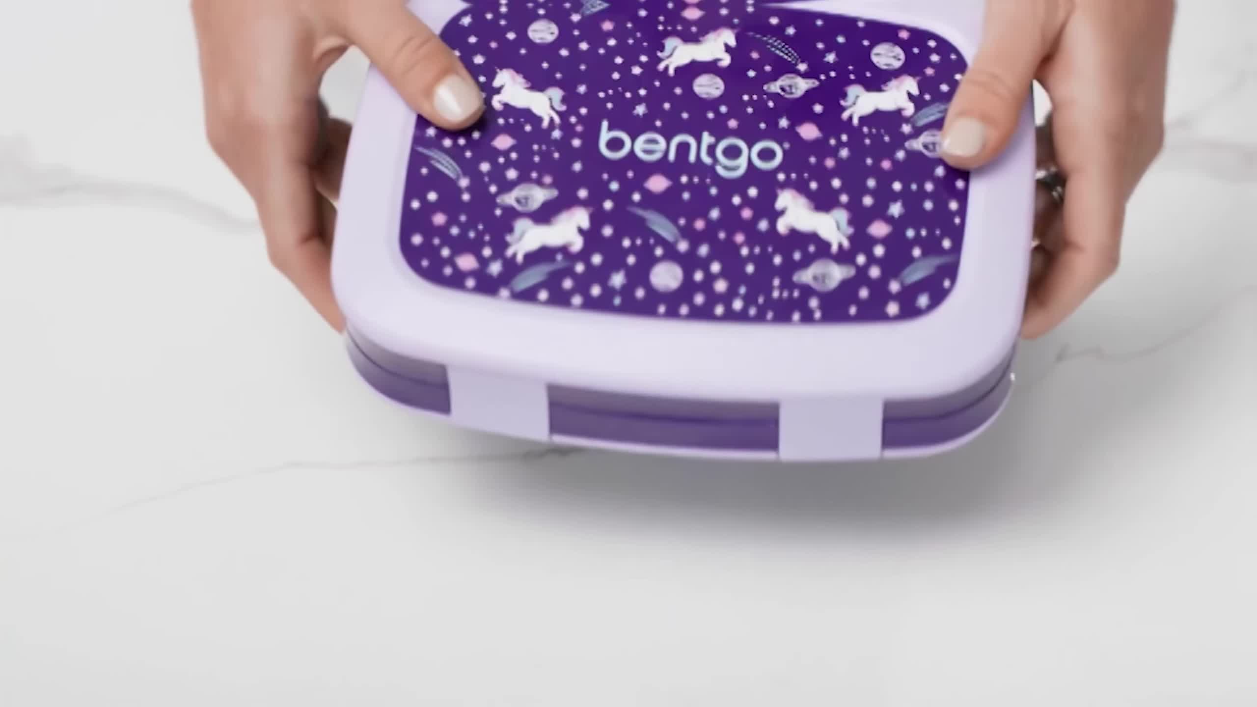 Intro shot showcasing various bento boxes