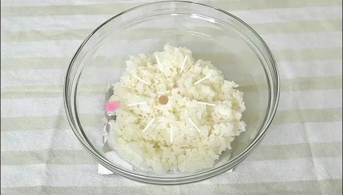 Place a layer of rice into the oshizushi mold, pressing it down gently and evenly.