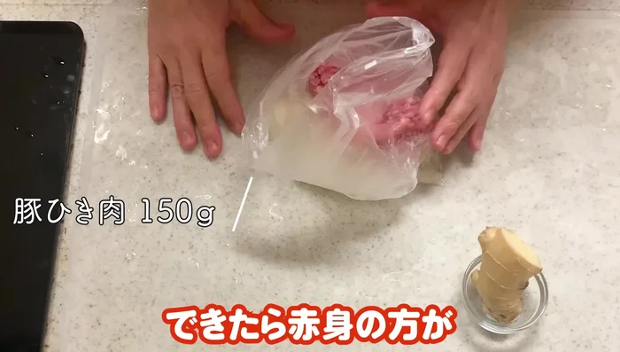 Add the ground pork and salt to the bag. Mix thoroughly. Add minced ginger or garlic if desired.