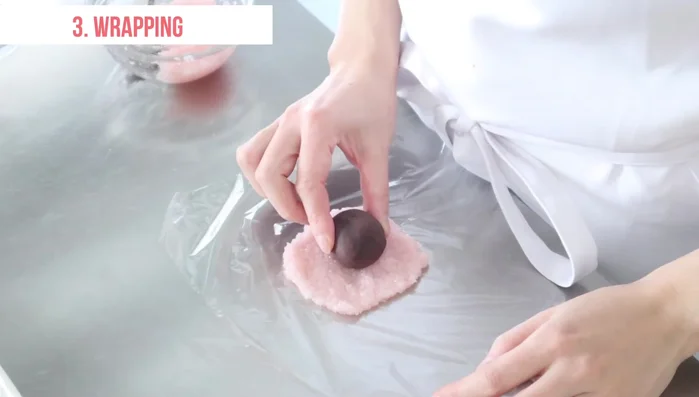 Place a ball of bean paste in the center of the dough circle. Wrap the dough around the bean paste filling.