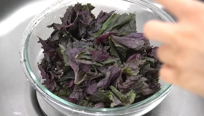 Wash shiso leaves thoroughly in a bowl of water, changing the water several times to remove any dirt or debris. (125)